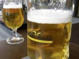 2e1ax_greenie_frontpage_bier_1